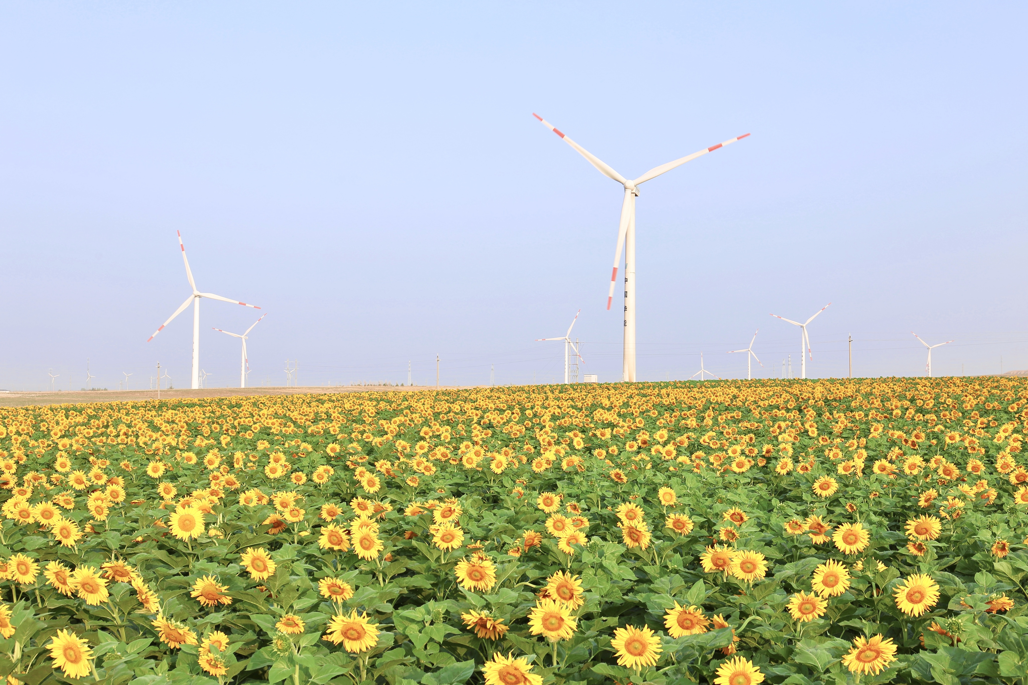 抖圈-为du而生官网入口