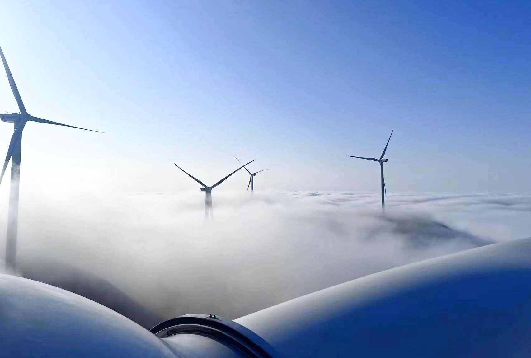 抖圈-为du而生官网入口