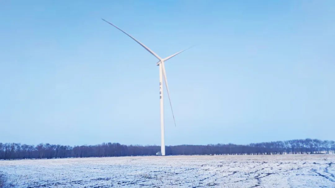 高质量交付！！抖圈股份多个项目交上并网考卷