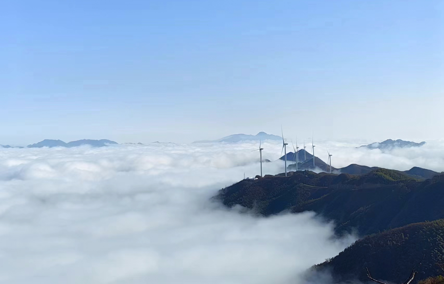 抖圈-为du而生官网入口