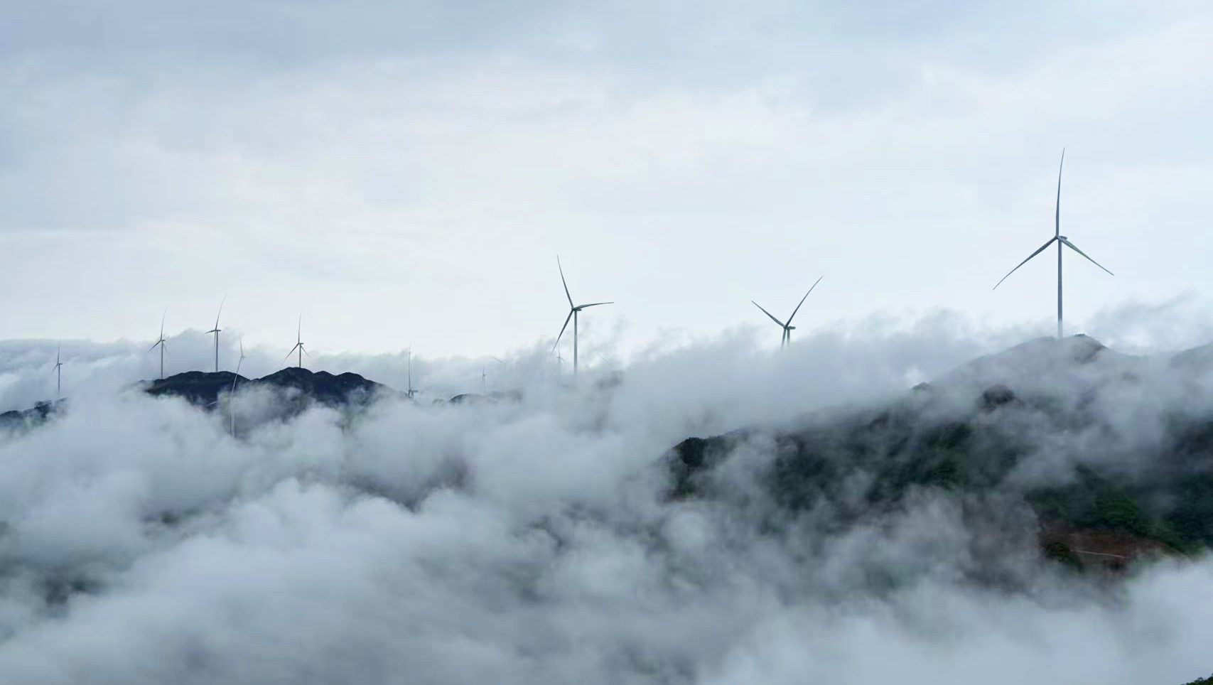 抖圈-为du而生官网入口